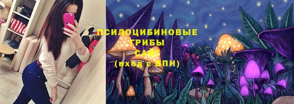 дмт Арсеньев