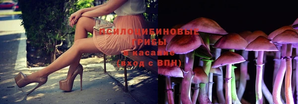 дмт Арсеньев